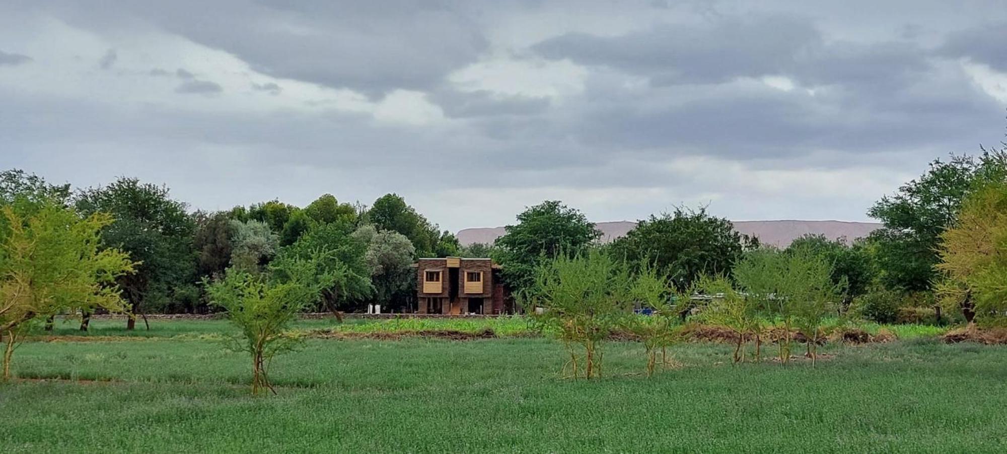 Foresta Atacama Lodge San Pedro de Atacama Exteriör bild